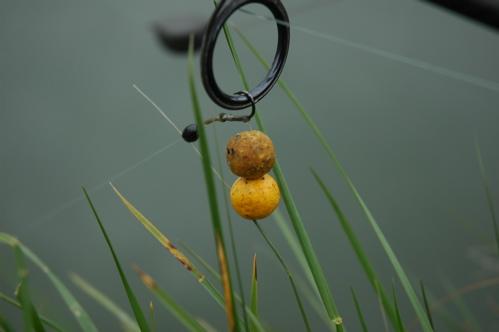 diverse - sbs-baits-logbuch-no-1-11.jpg